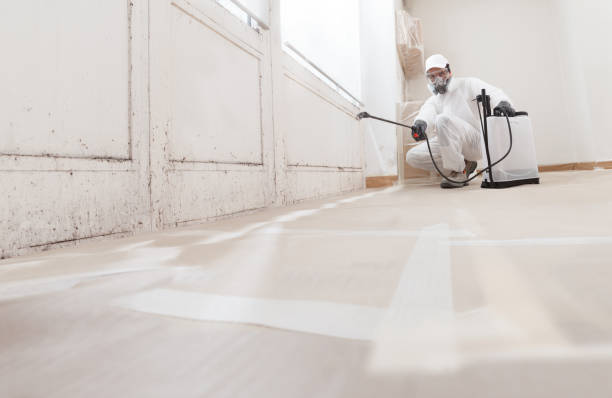 24/7 Emergency Attic Mold Removal experts in Perkasie, PA
